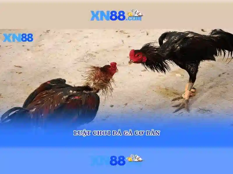 Mẹo chơi bắn cá 3 cây dễ ăn tiền nhà cái