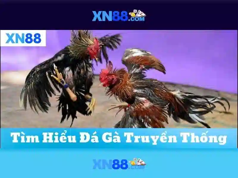 xn88 chính thức – Tổng quan chủ đề và giá trị cốt lõi
