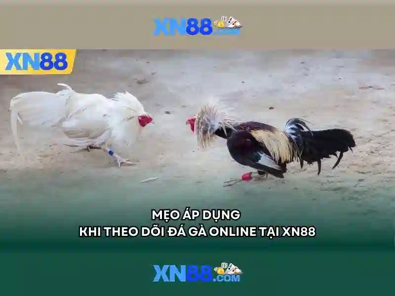 Kết luận và lời khuyên
