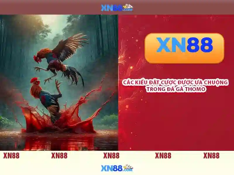 Nguồn gốc và mục tiêu\n<h3>Các tính năng nổi bật</h3>\n<p><span style=