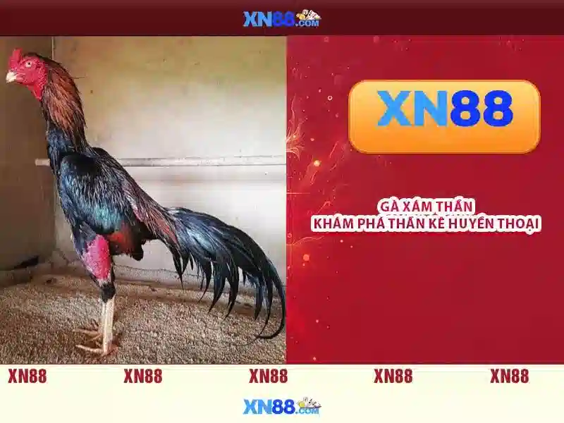 xn88 lừa đảo – Tổng quan và ứng dụng xn88 app ios