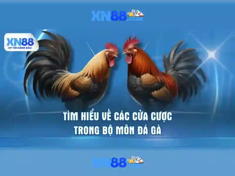 An toàn và quản lý rủi ro