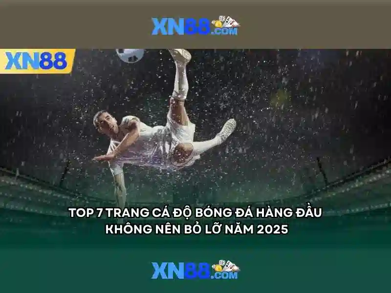 Các tính năng nổi bật