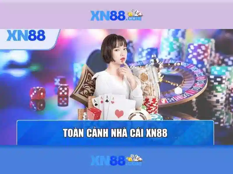 Nền tảng và dịch vụ