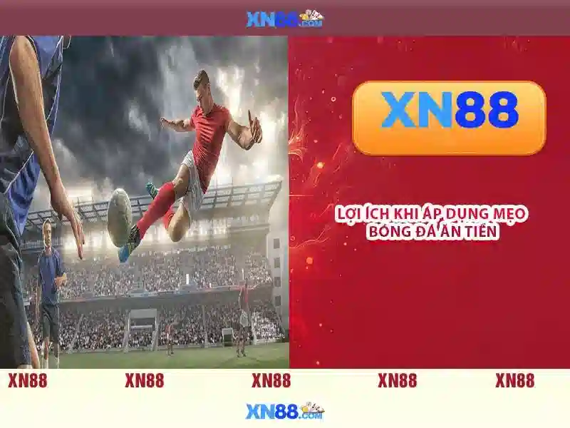 Giới thiệu về xn88