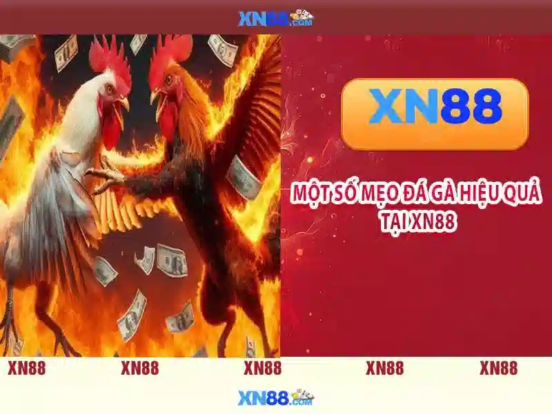 Điều kiện tham gia và an toàn