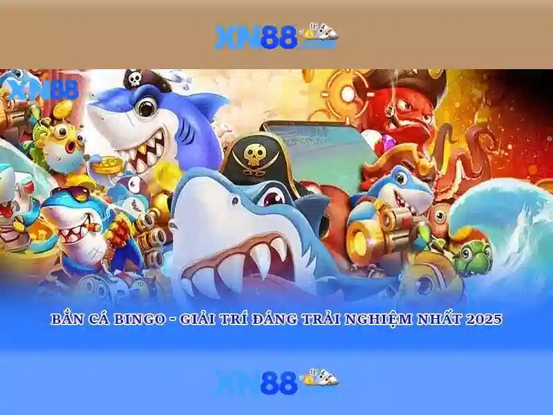 Giới thiệu về xn88