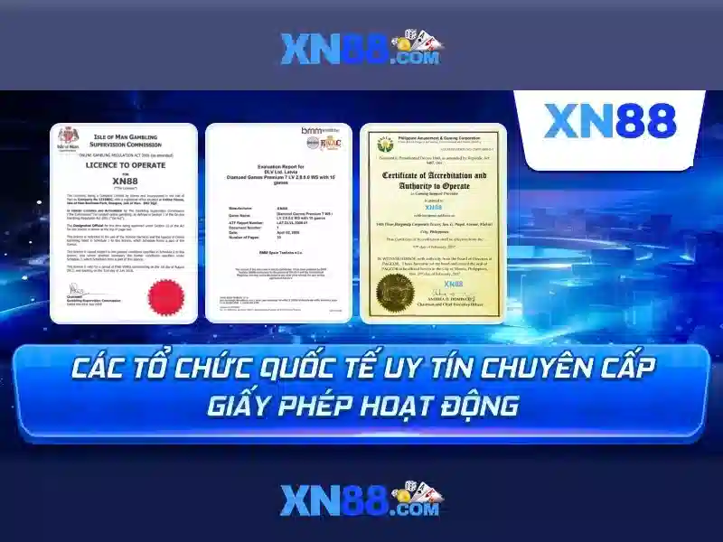 xn88. – Tổng quan chủ đề và giá trị cốt lõi