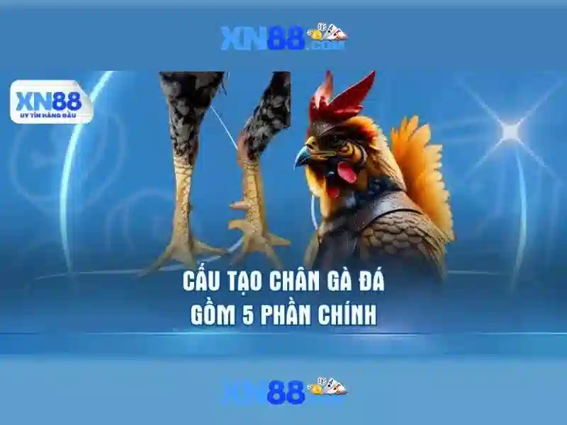 xn88: Tổng quan, tính năng và lưu ý an toàn