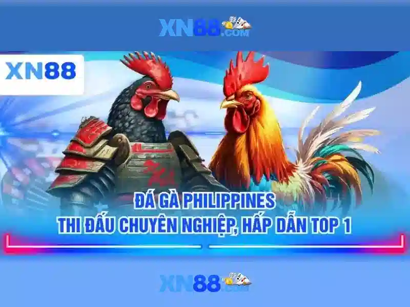 xn88: Cổng trò chơi online và hệ sinh thái giải trí số