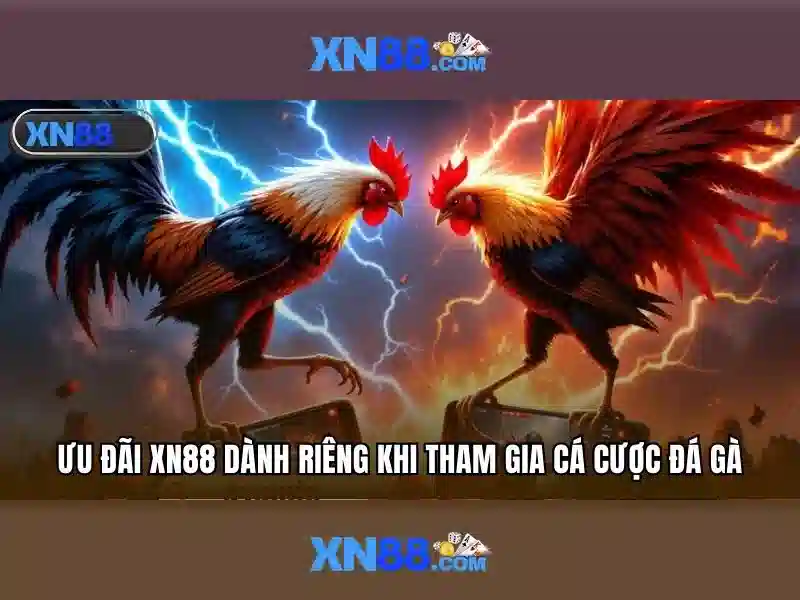 Sản phẩm và dịch vụ xn88 fit