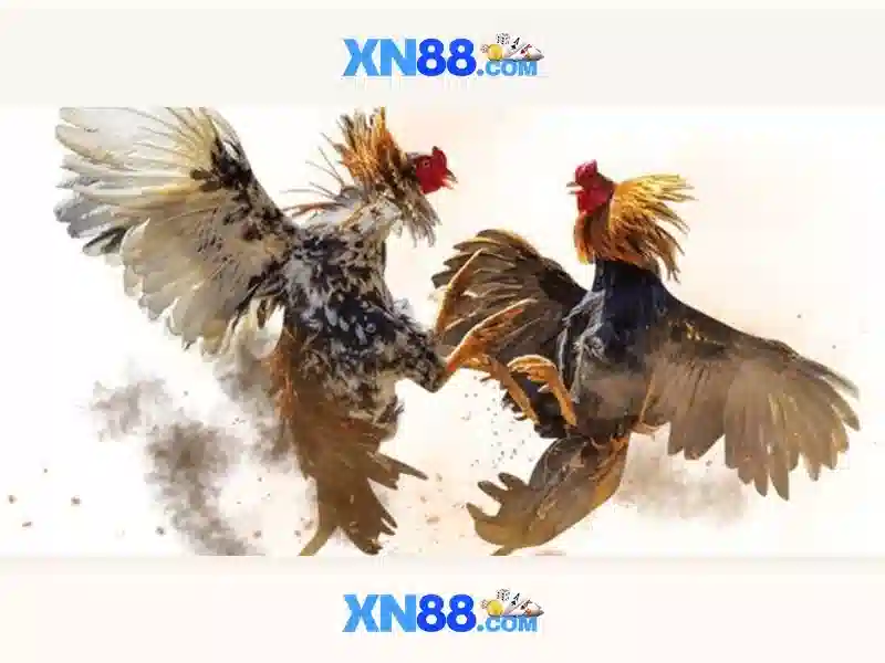 xn88: Nền tảng giải trí trực tuyến và những điều bạn cần biết