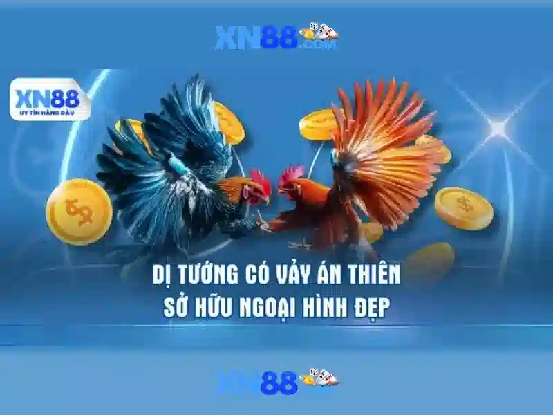 xn88: Nền tảng giải trí trực tuyến hàng đầu