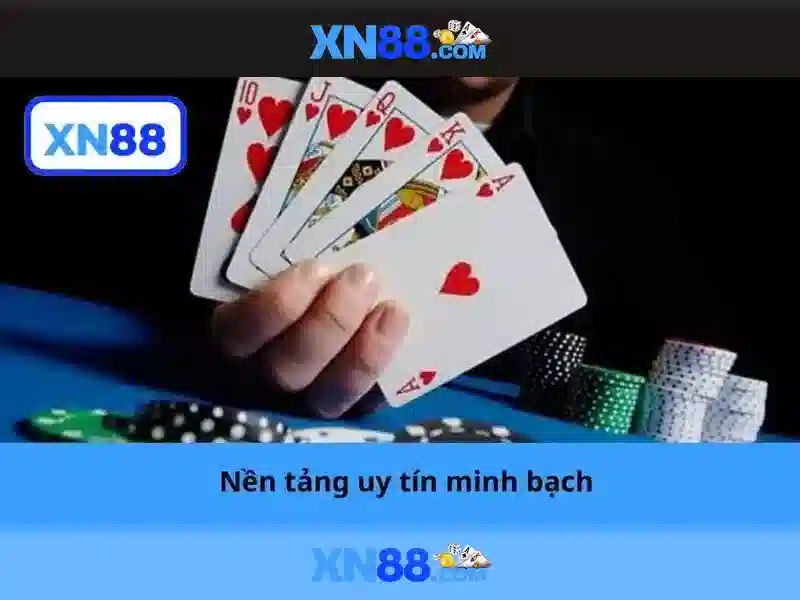 Ứng dụng và tiềm năng của xn88