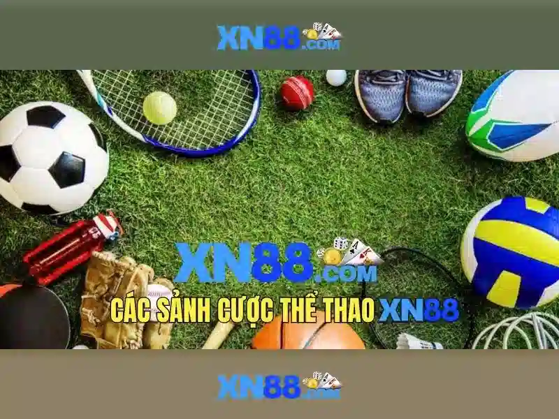 Giới thiệu về xn88