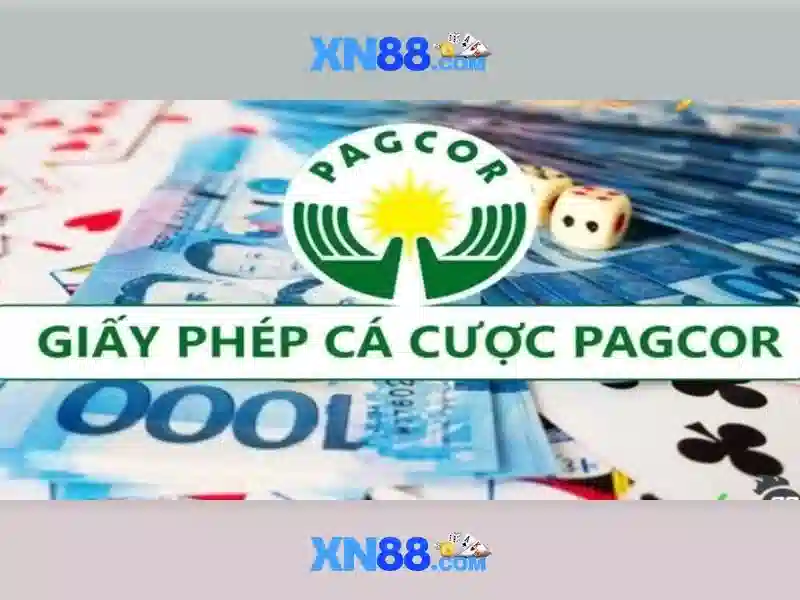 Giới thiệu về xn88