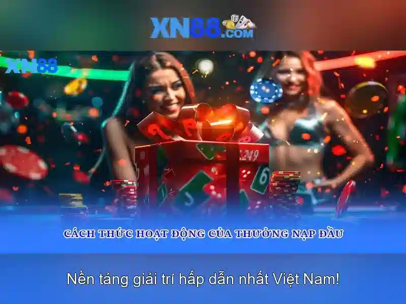 Giới thiệu về xn88