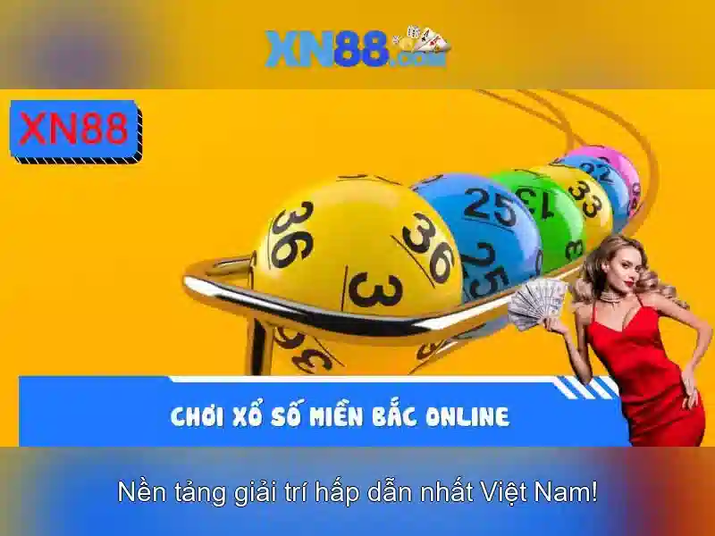 xn88: cái nhìn tổng quan