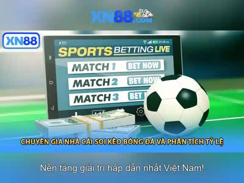 Lý do người dùng chọn xn88