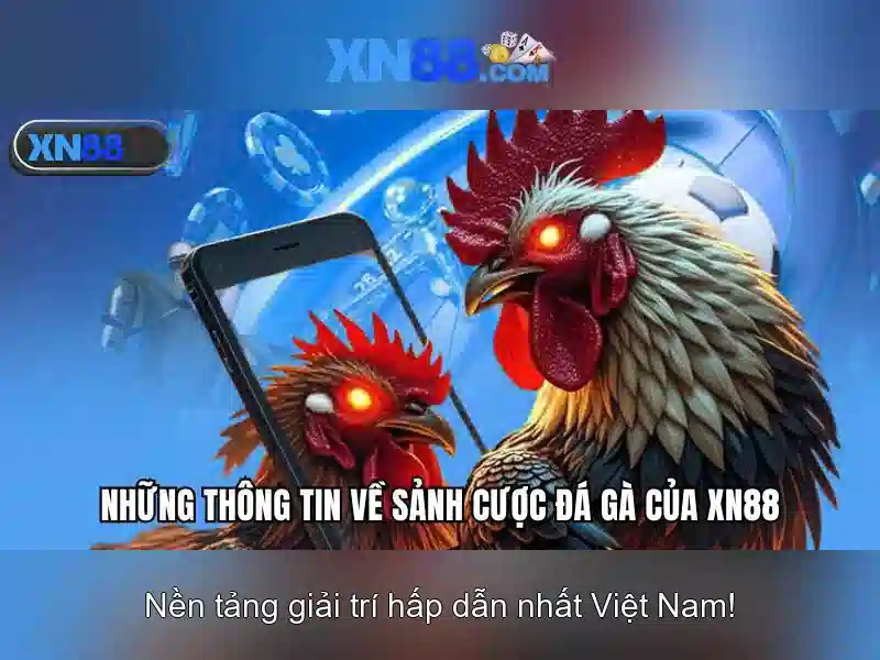 Tính năng nổi bật của xn88