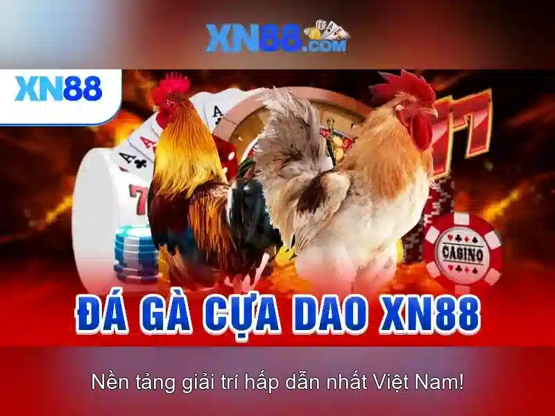 Các trò chơi và tính năng