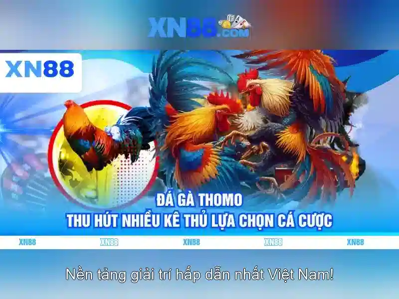  xn88 là gì?