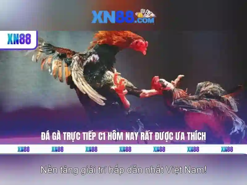 xn88 là gì