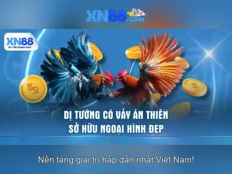 XN88: Nền tảng giải trí trực tuyến uy tín