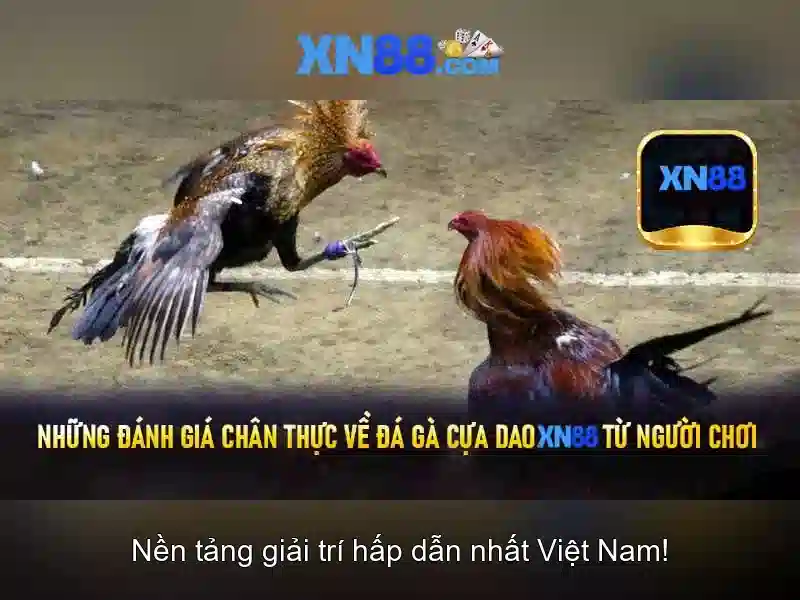Mẹo chơi bắn cá 3 cây dễ ăn tiền nhà cái