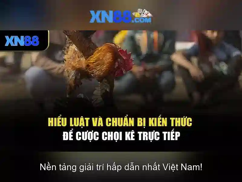 Trải nghiệm người dùng và khuyến mãi