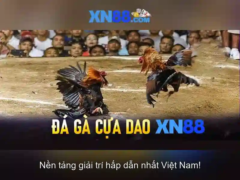 xn88 - Tổng quan về nền tảng giải trí trực tuyến
