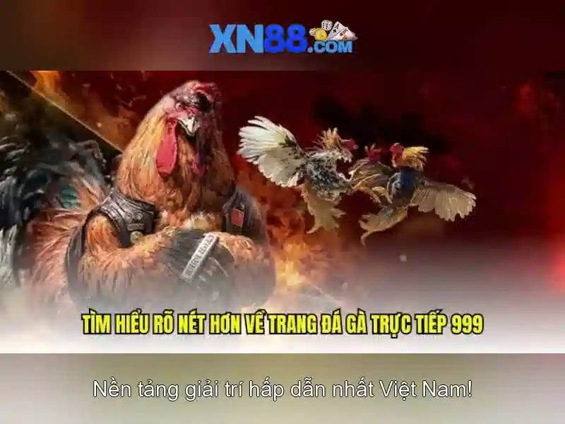 xn88: Nền tảng giải trí trực tuyến đáng tin cậy tại Việt Nam