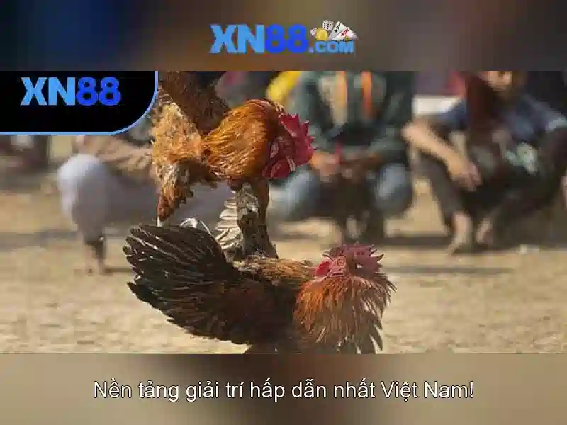 xn88: Giới thiệu và đánh giá an toàn