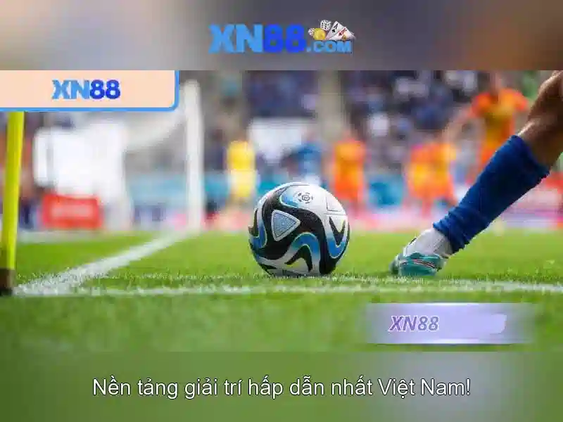 Danh mục và khuyến mãi