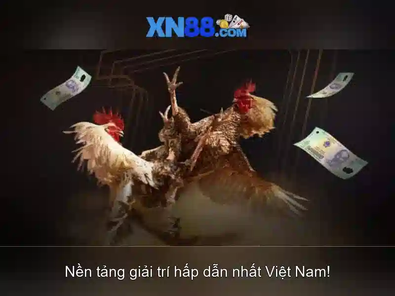 Lợi ích khi chọn xn88 cho người chơi
