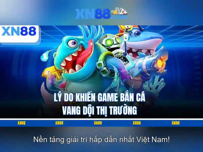 Kết luận và khuyến nghị