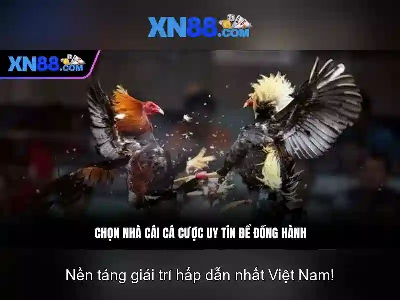xn88: Tổng quan và trải nghiệm cho người chơi