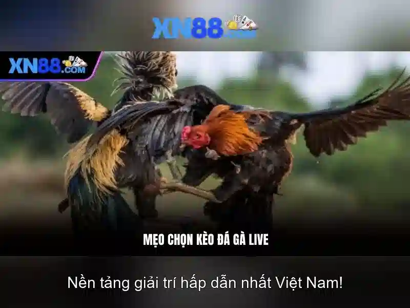 Giao diện người dùng và trải nghiệm trên di động\n<p><span style=