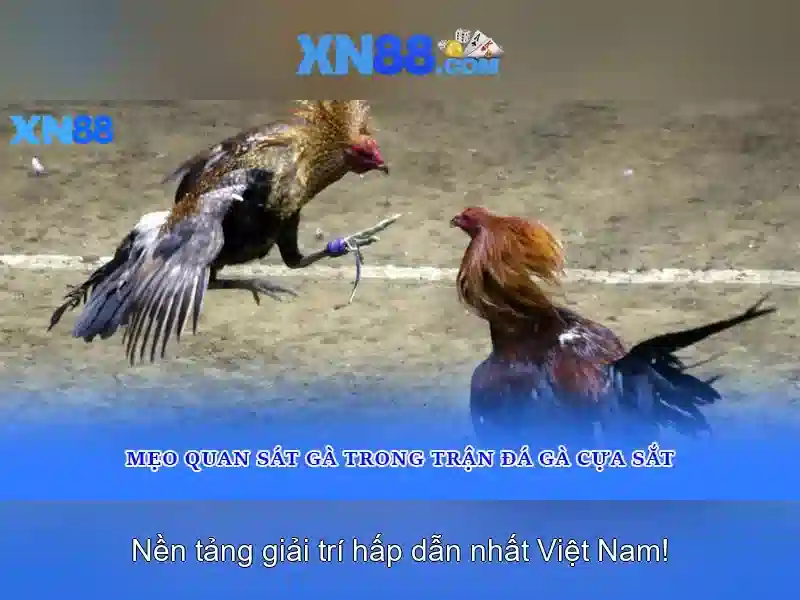 An toàn và bảo mật\n\n<h4>Hỗ trợ người dùng và tài nguyên</h4>\n<p><span style=