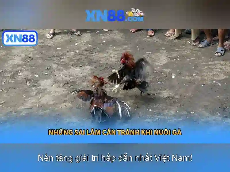 Tương lai và thách thức