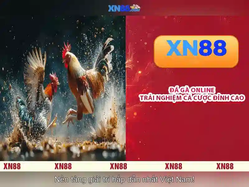 Phương thức thanh toán và khuyến mãi\n\n<h2 class=