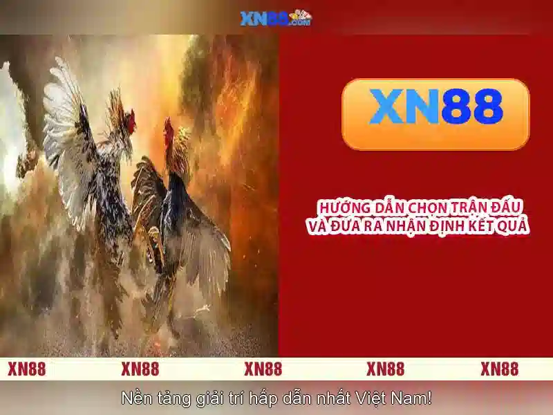 XN88: Nền tảng cá cược trực tuyến và những điều bạn cần biết