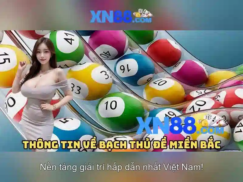 Trải nghiệm người dùng và phản hồi cộng đồng
