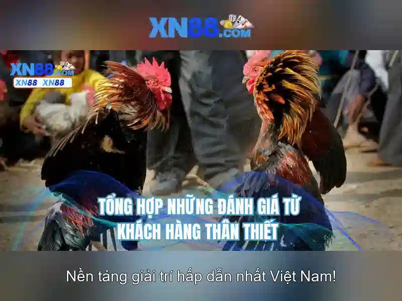 Giới thiệu về xn88
