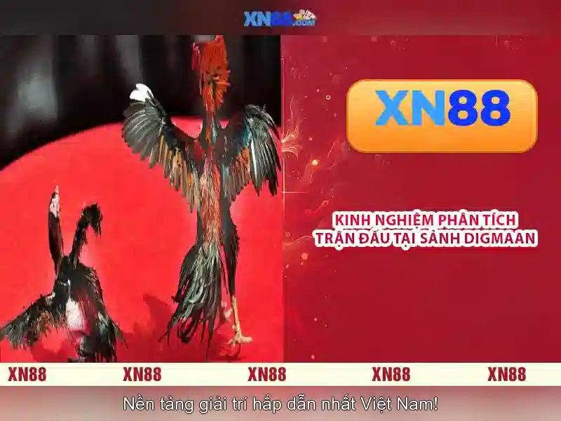 xn88: Đánh giá và Hướng dẫn tổng quan