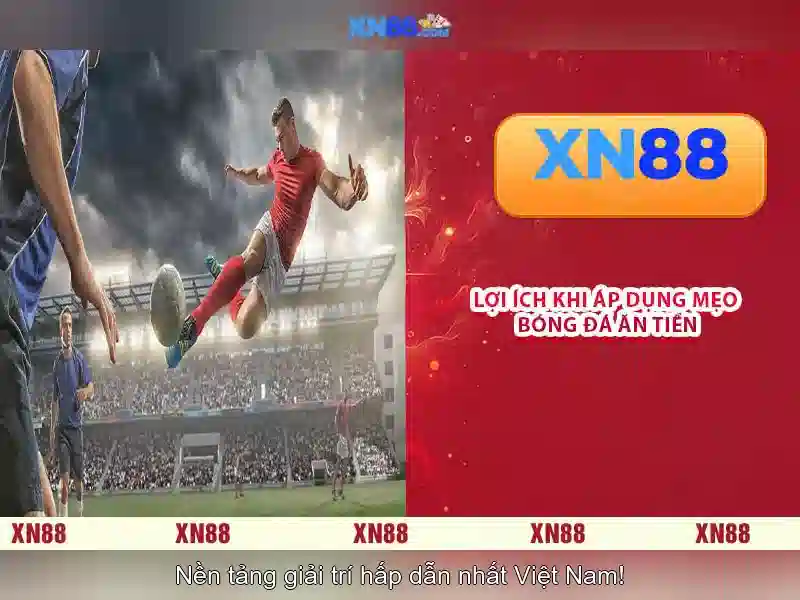 Trải nghiệm người dùng và thiết kế