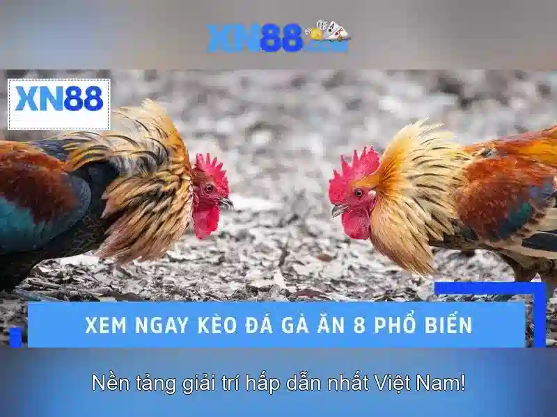 Đặc điểm và tính năng