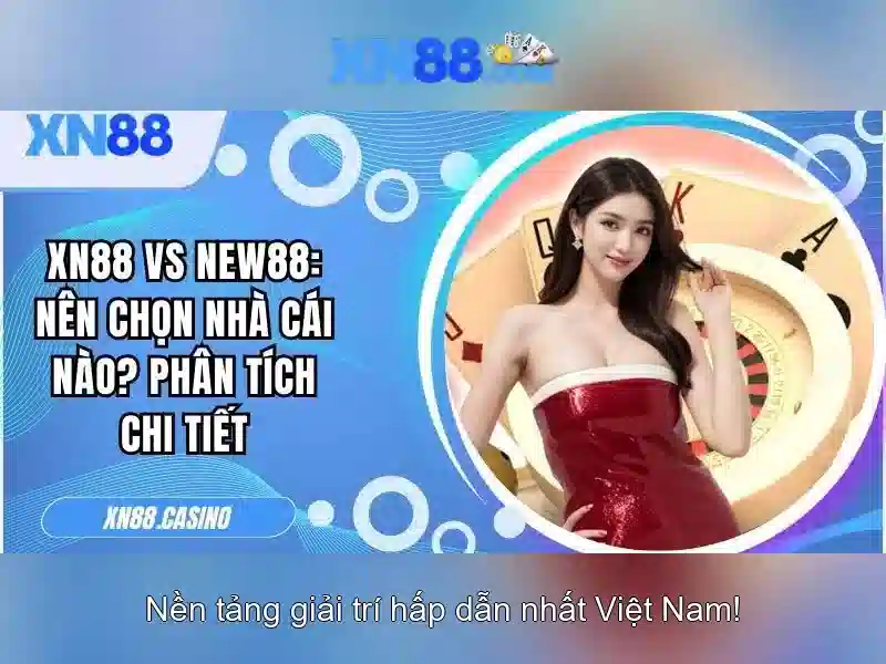 Khuyến mãi và hỗ trợ khách hàng