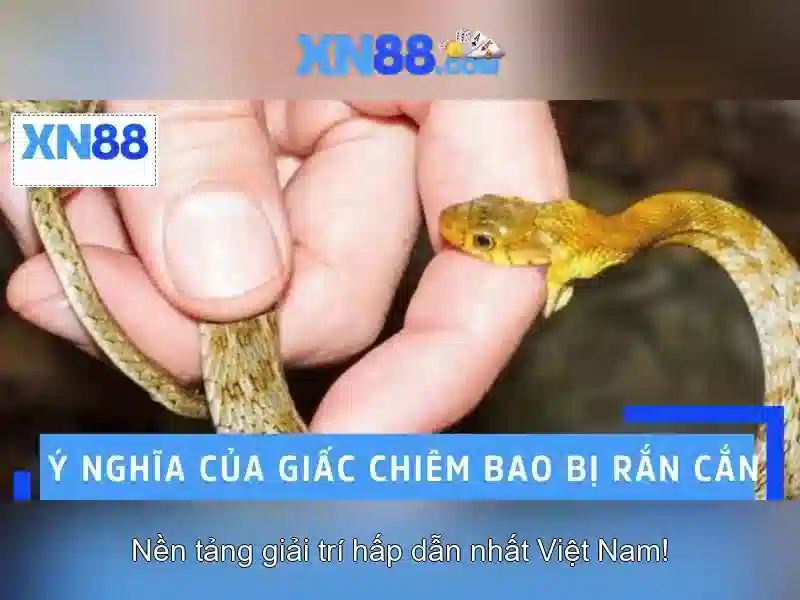 xn88: Nền tảng chơi game và đánh bạc trực tuyến