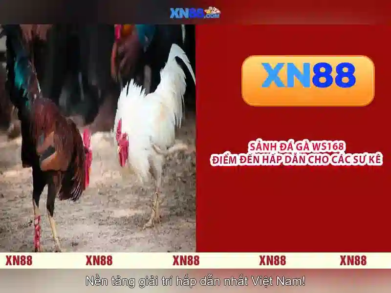Mẹo chơi bắn cá 3 cây dễ ăn tiền nhà cái